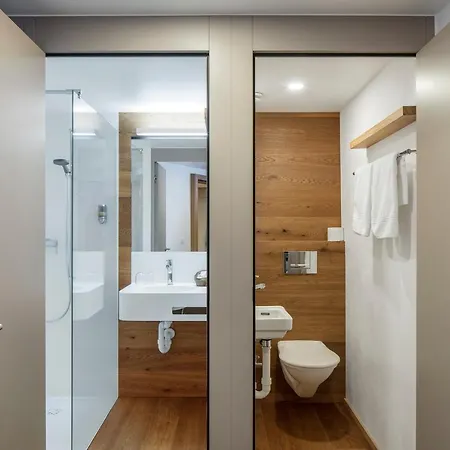 Edelweiss Blatten Loetschental